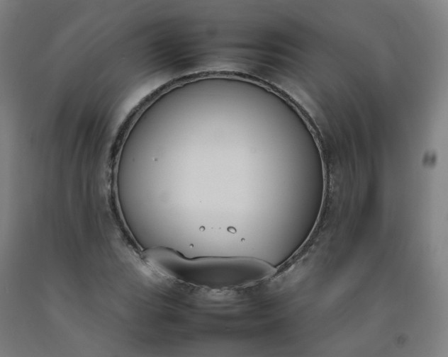 X0000092241119200709281119