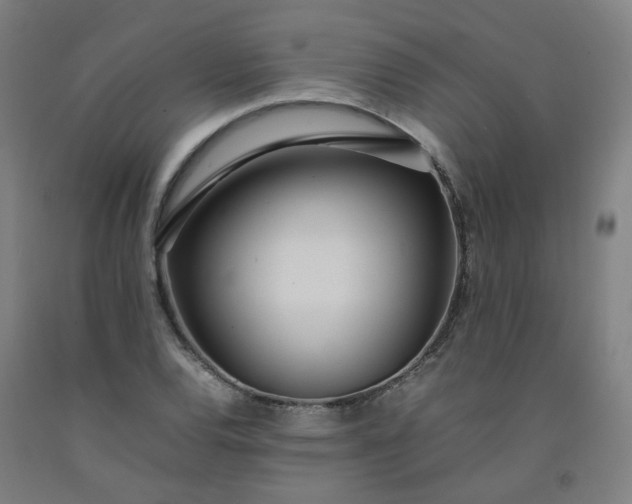 X0000092241120200709281119