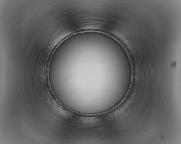 X0000092241121200709281119