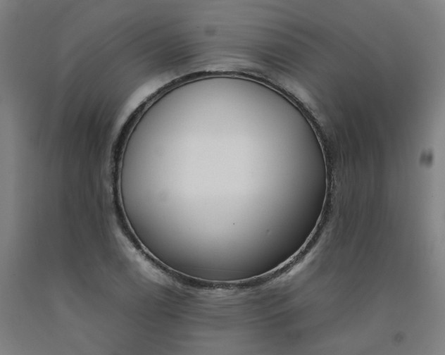 X0000092241122200709281119