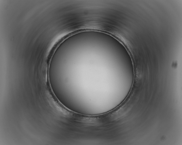 X0000092241123200709281119