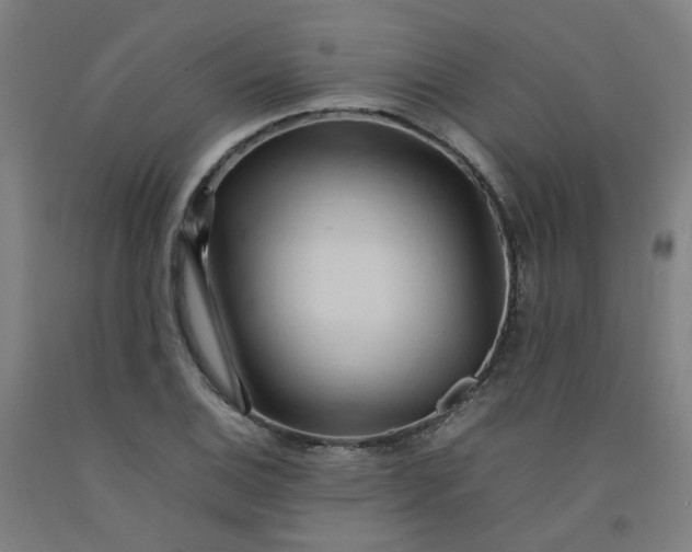 X0000092241124200709281119