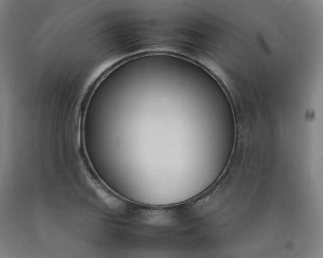 X0000092241127200709281119
