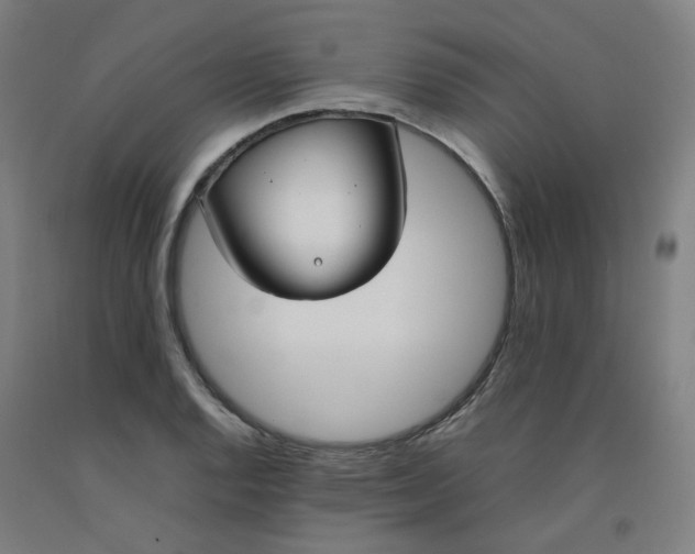 X0000092241128200709281119
