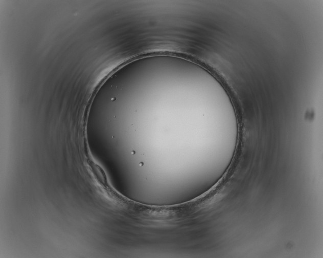 X0000092241129200709281119
