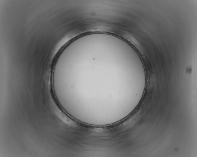 X0000092241130200709281119