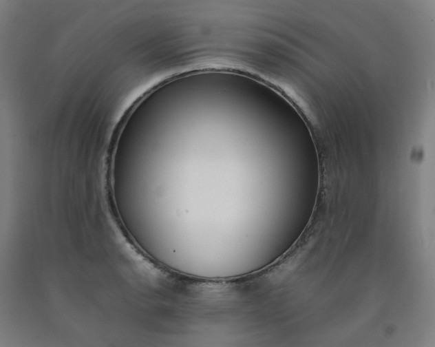 X0000092241134200709281119