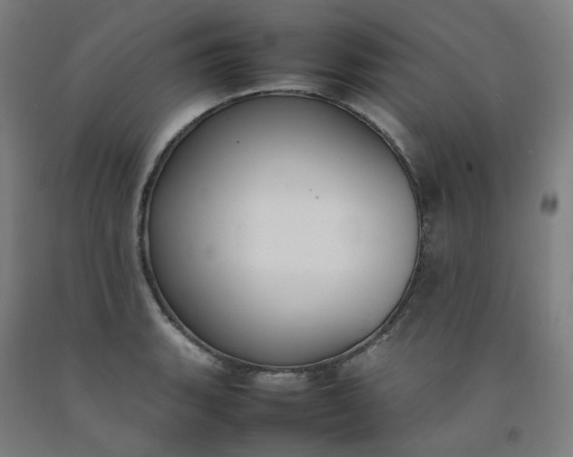 X0000092241135200709281119