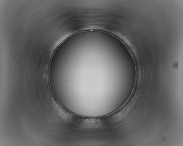 X0000092241137200709281119