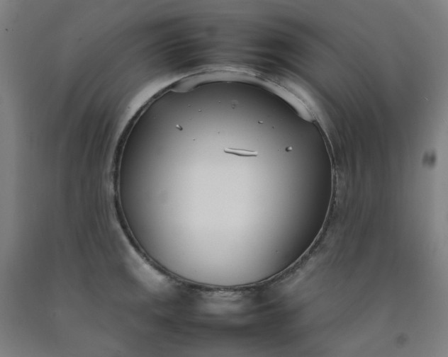 X0000092241141200709281119