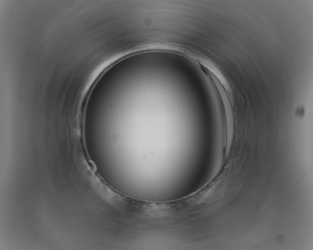 X0000092241148200709281119