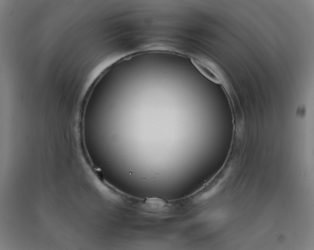 X0000092241149200709281119
