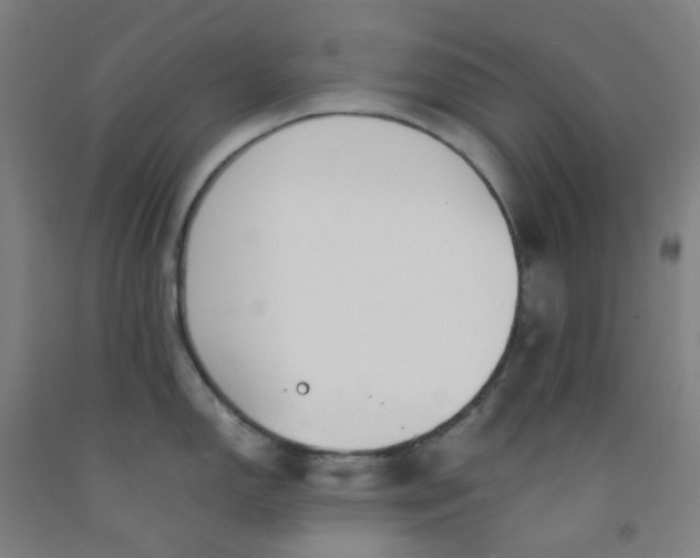 X0000092241150200709281119