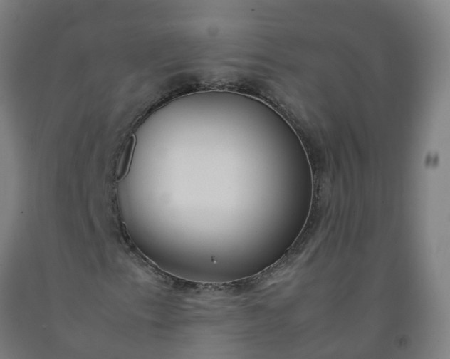 X0000092241153200709281118