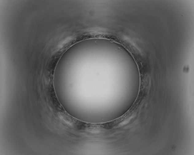 X0000092241157200709281118