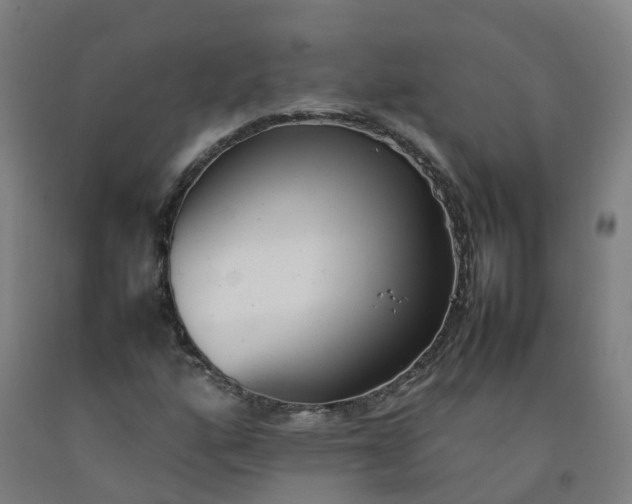 X0000092241160200709281118