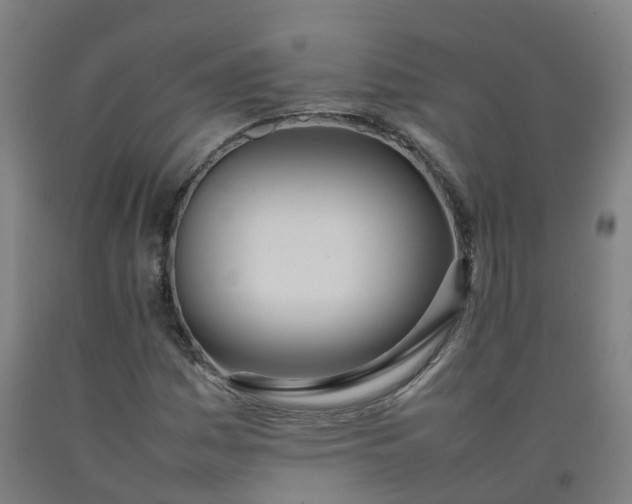 X0000092241161200709281118