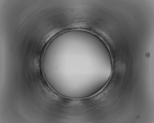 X0000092241162200709281118