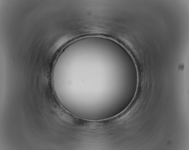 X0000092241163200709281118