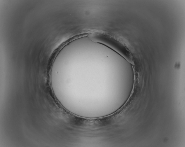 X0000092241165200709281118