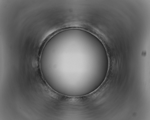 X0000092241166200709281118
