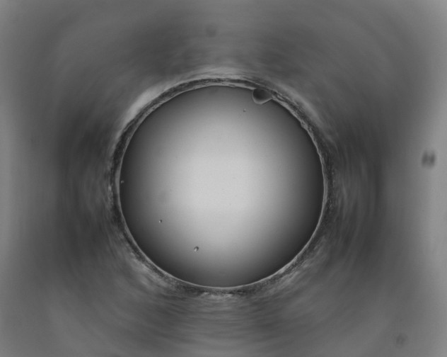 X0000092241168200709281118