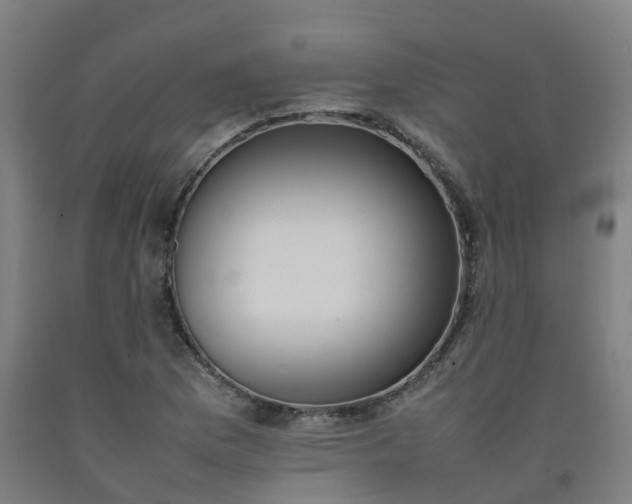 X0000092241169200709281118