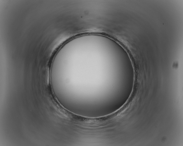 X0000092241171200709281118