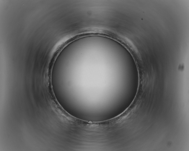 X0000092241172200709281118
