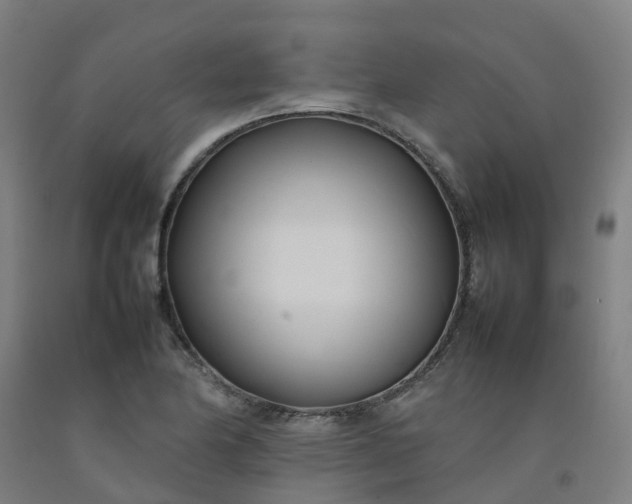X0000092241174200709281118