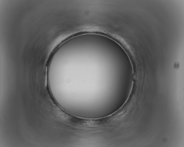 X0000092241175200709281118
