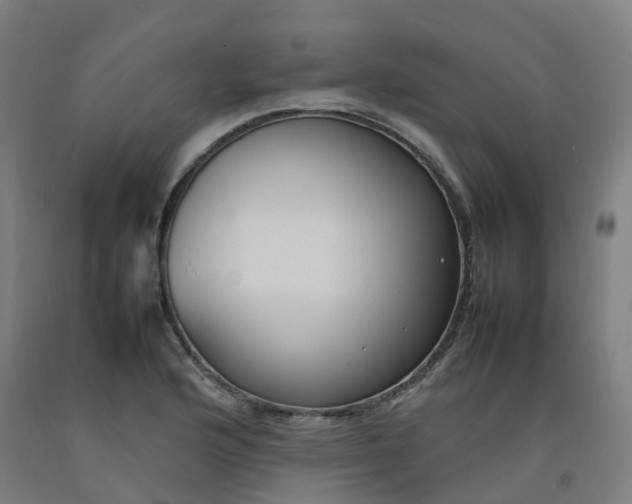 X0000092241176200709281118