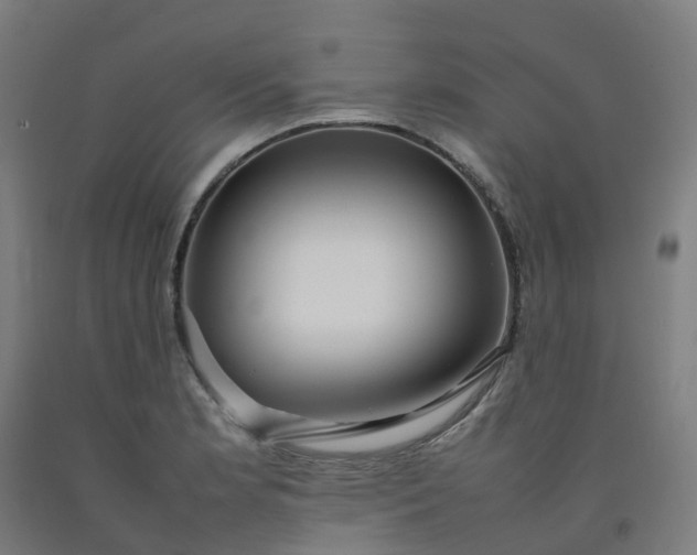 X0000092241181200709281118