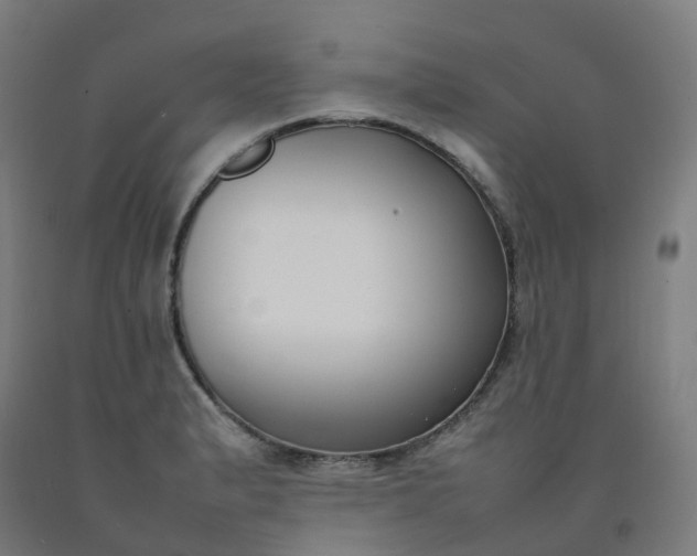 X0000092241183200709281118