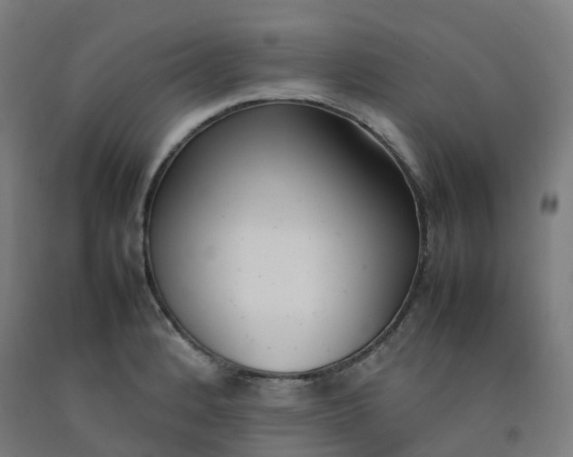 X0000092241184200709281118
