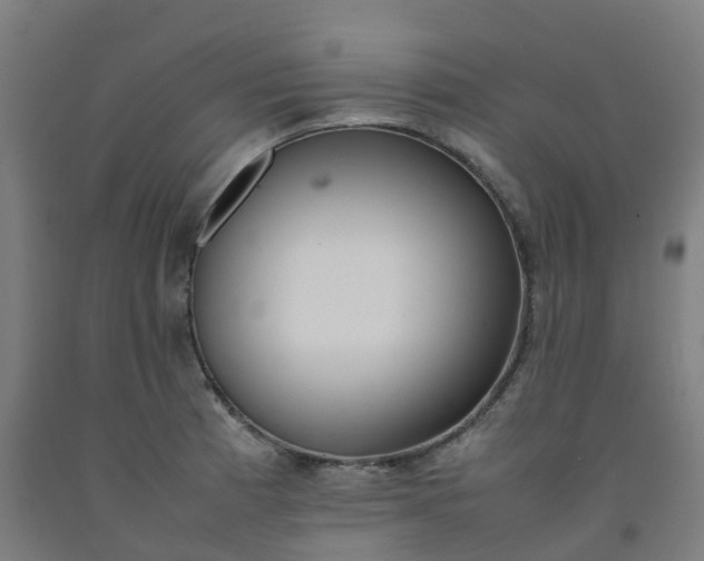 X0000092241185200709281118