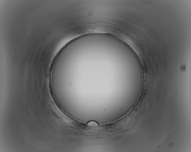 X0000092241187200709281118