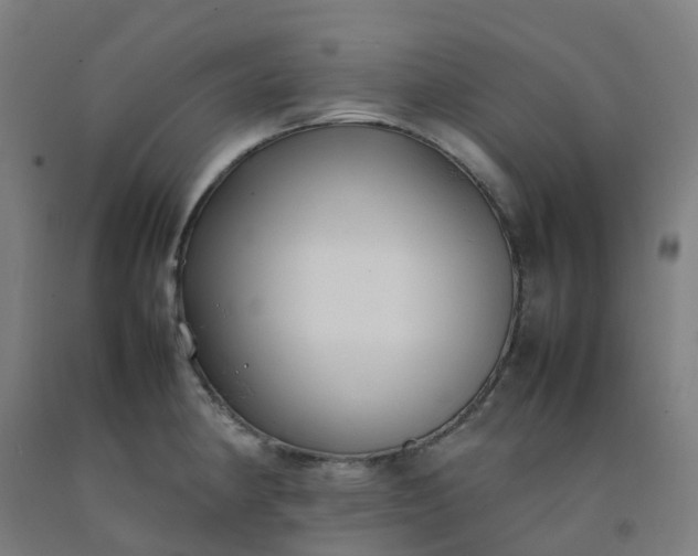 X0000092241190200709281118