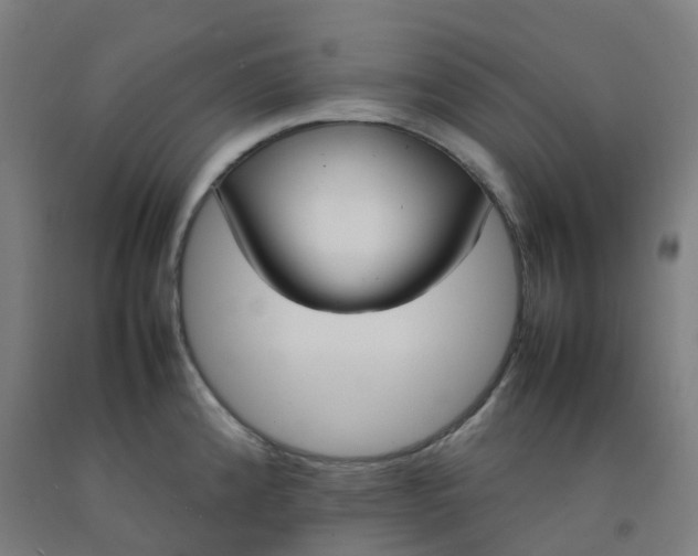 X0000092241192200709281118