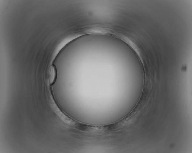 X0000092241195200709281118