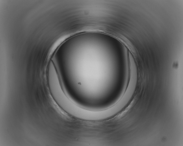 X0000092241196200709281118