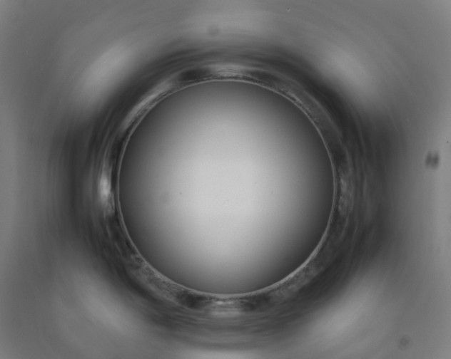 X0000092241198200709281118