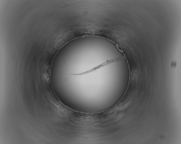 X0000092241202200709281117