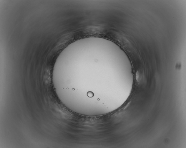 X0000092241203200709281117