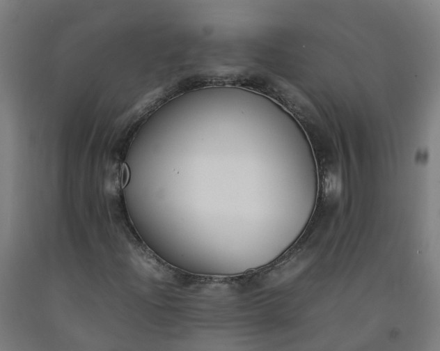 X0000092241204200709281117