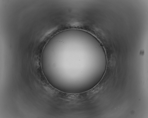 X0000092241205200709281117