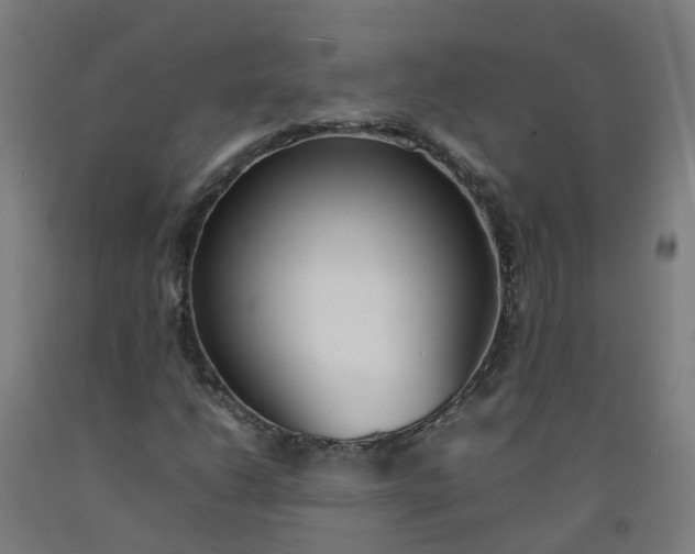 X0000092241206200709281117