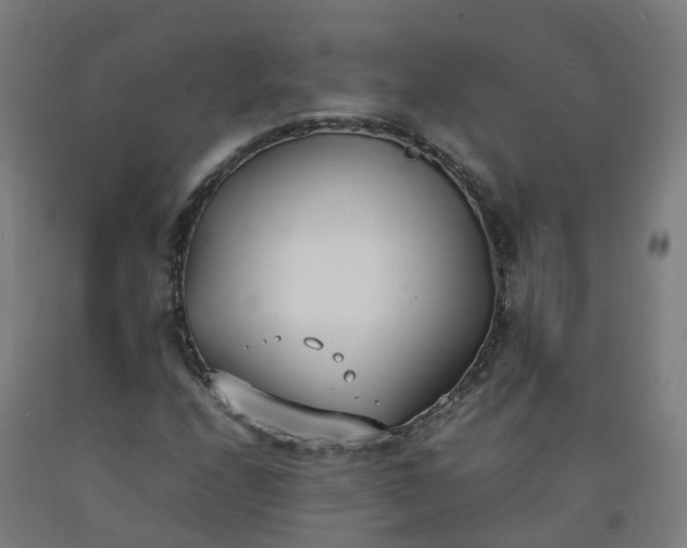 X0000092241208200709281117