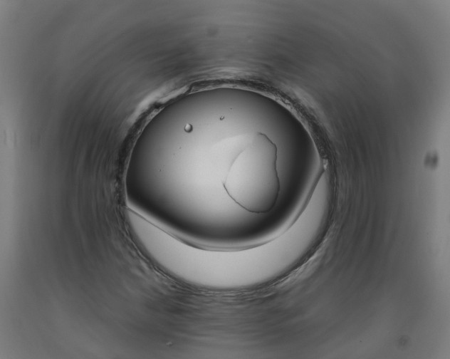 X0000092241210200709281117