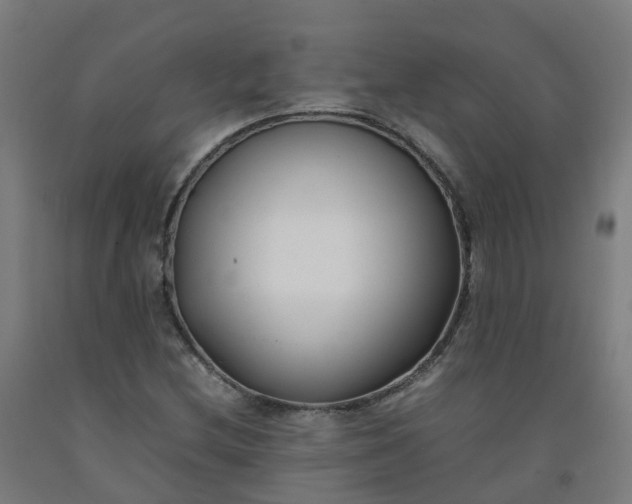 X0000092241212200709281117